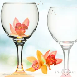 Trinkgläser Bunt Aus Glas Weingläser Mit Buntem Stiel 220ml Set 6-Teilig Getränkeglas Wasserglas Weißweingläser -Küchenutensilien Laden 04fc51e4106ab66456b25fd598038667