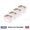 ROTHO Set Gefrierdose 4 X 1 L DOMINO, Farbe:Limettengrün -Küchenutensilien Laden 2ecd99ec5d3abcdcdea91e6c1031093d