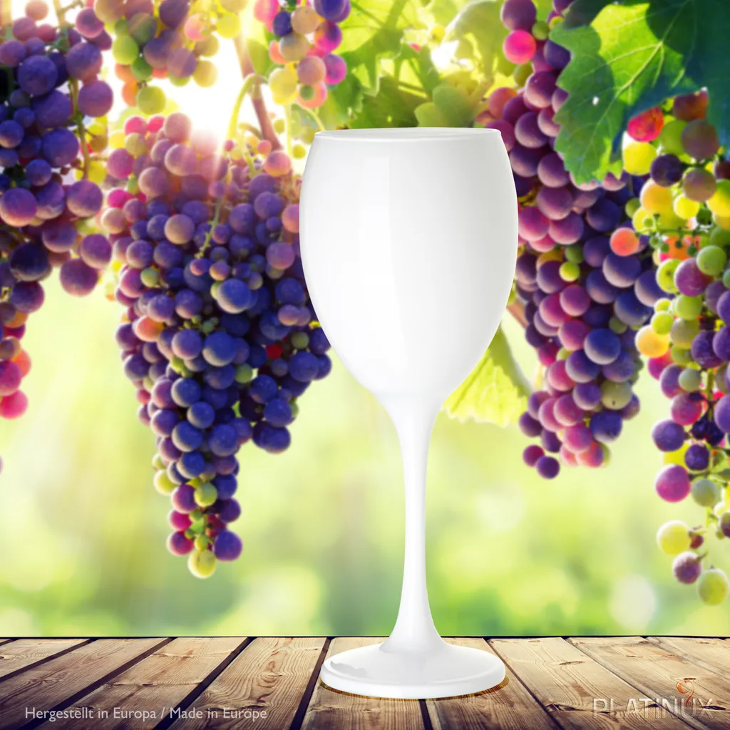 Weiße Weingläser Wasserglas Set 6 Teilig 130ml (max. 320ml) Aus Glas Massiv Weißweingläser Rotweingläser 6 Weiße Weingläser Wasserglas Set 6 Teilig 130ml (max. 320ml) Aus Glas Massiv Weißweingläser Rotweingläser – Bild 4