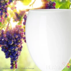 Weiße Weingläser Wasserglas Set 6 Teilig 130ml (max. 320ml) Aus Glas Massiv Weißweingläser Rotweingläser 17 Weiße Weingläser Wasserglas Set 6 Teilig 130ml (max. 320ml) Aus Glas Massiv Weißweingläser Rotweingläser -Küchenutensilien Laden 482ae5667d7ec50837896d236e04f6e5