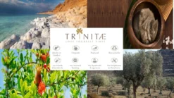 Villeroy & Boch 2 X Latte Macchiato Glas Ohne Henkel NewWave Vorteilsset 2 X Art. Nr. 1137373422 Und Gratis 1 Trinitae Körperpflegeprodukt -Küchenutensilien Laden 67077e59e1a1032d5c820cf4eae4ab17 2