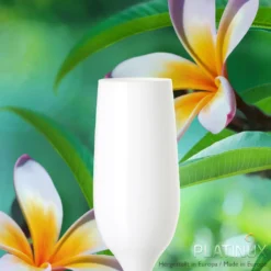 Weiße Sektgläser Set 6 Teilig Champagnergläser 160ml (max. 200ml) Aus Glas -Küchenutensilien Laden 71e37cf06c21062af65bcb33b4e3921a