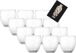 Acqua Morelli 12er Set Glas Klar - 12x Wasserglas Tumbler Neue Edition Relief Glas