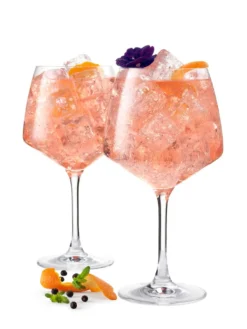 Holmegaard Perfection - Gin Gläser 90 Cl, Klar 2 Stück